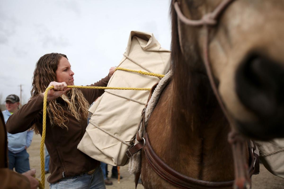 Womenonly horsepacking offered