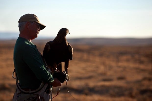 Casper man hunts with golden eagle