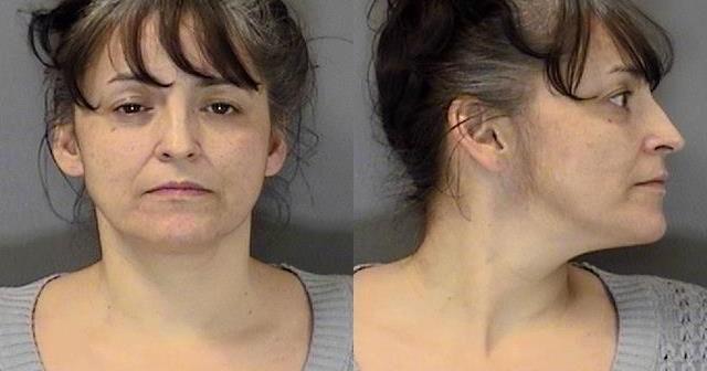 Woman admits role in meth ring that brought several pounds of meth to ...