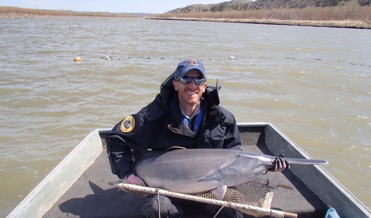 Montana fishing report Paddlefish season kicks off on Missouri River