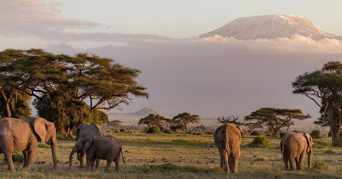 Physical therapy helps climber with searing knee pain summit Kilimanjaro Physical therapy helps climber with searing knee pain summit Kilimanjaro