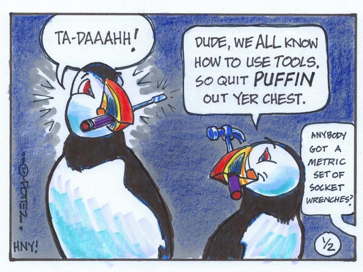 Puffins