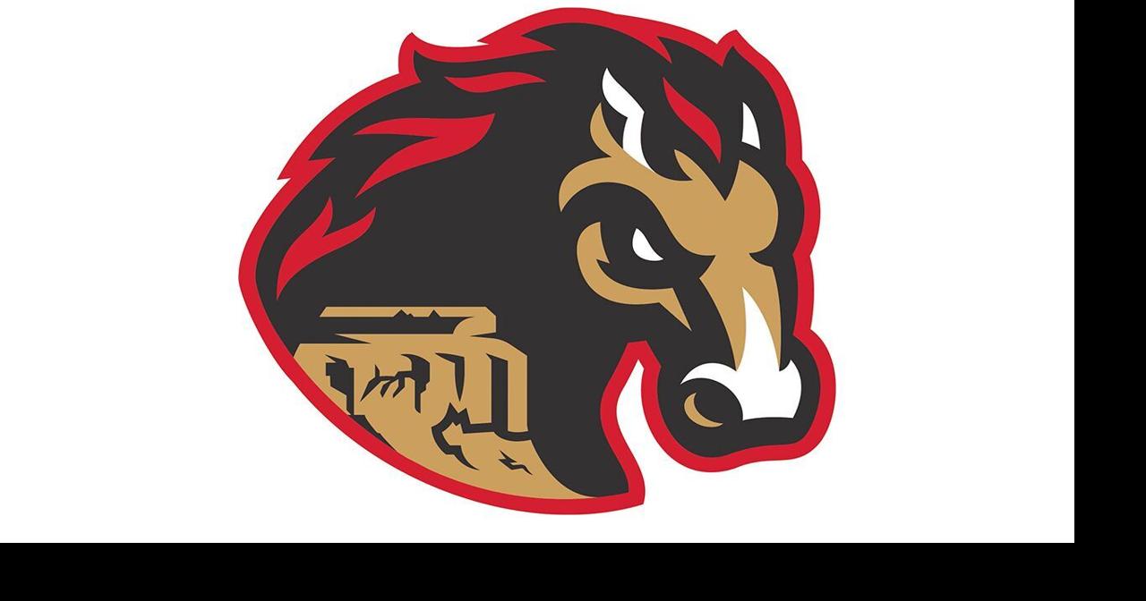 Billings Mustangs and Missoula PaddleHeads split Sunday twin bill at