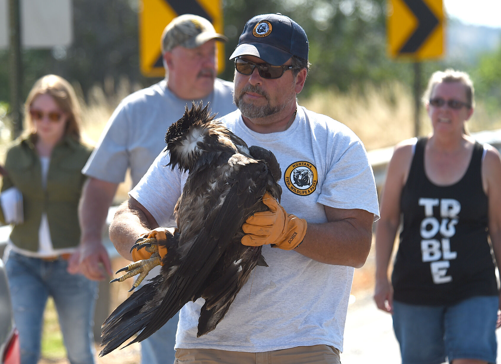 Golden Eagle Tee – Indestructible MFG