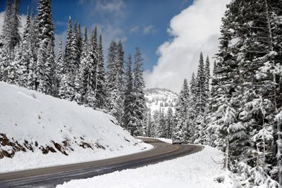 Dunraven Pass