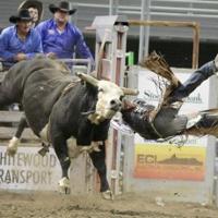 Chase Hawks Rodeo Gallery: Chase Hawks rodeo