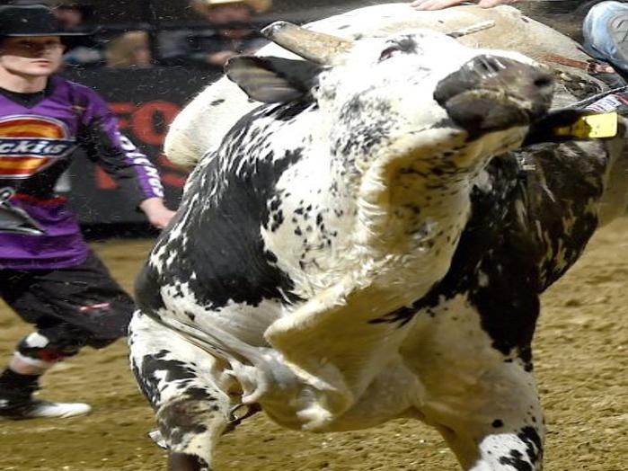 Pbr Bull Riders Have A Simple Strategy Hold The Hell On Rodeo Billingsgazette Com