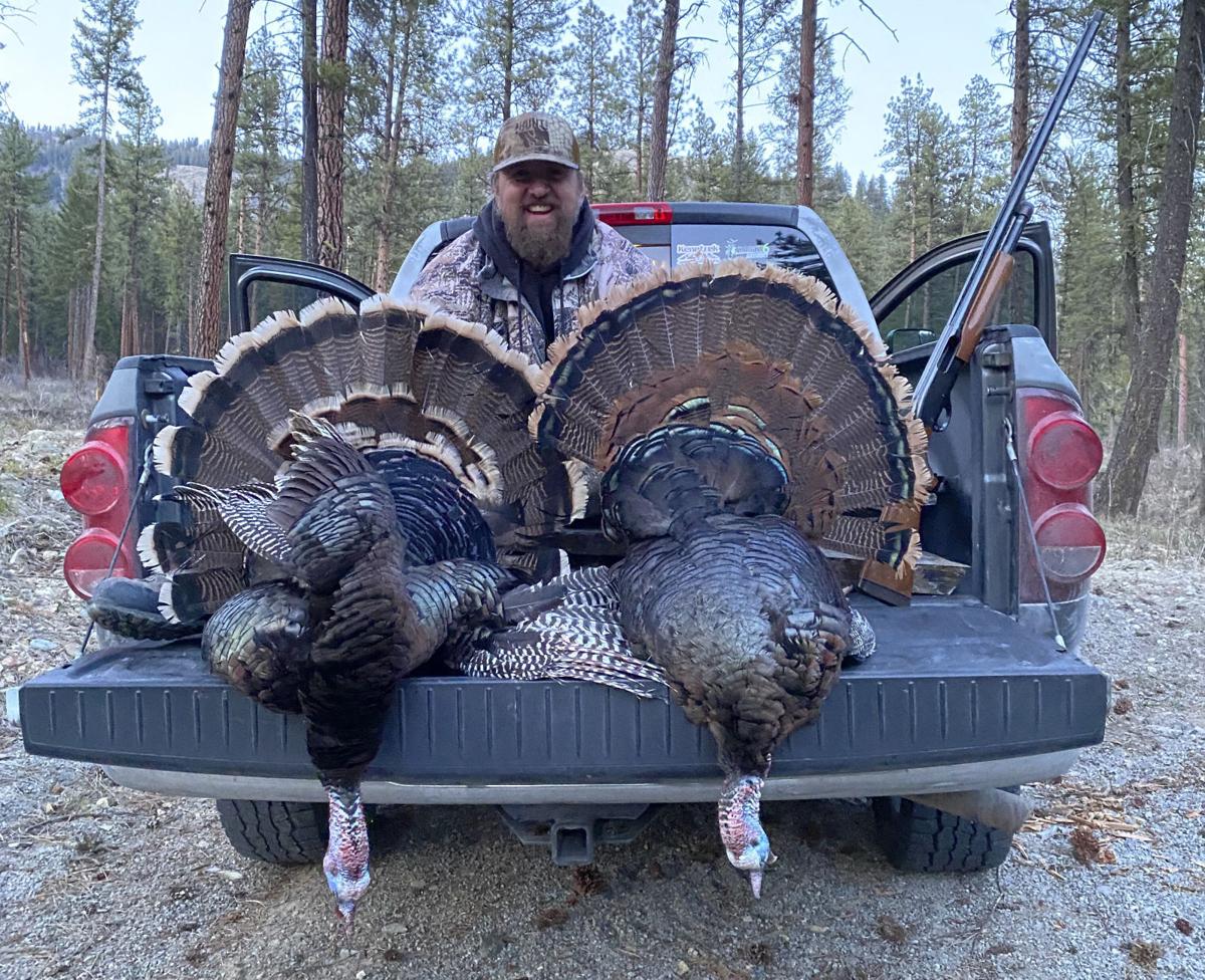 Two turkey species in one day