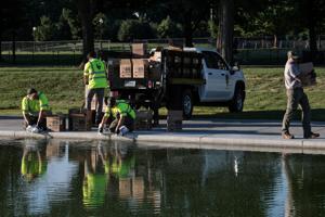 USA-250/REFLECTING POOL
