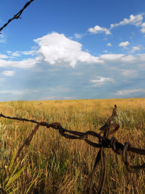 A tale of 4 corners: Yellowstone County's compass points