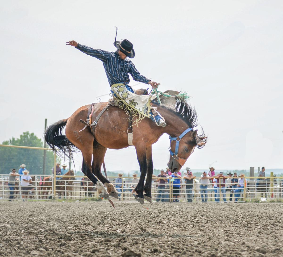 Joliet drive-in rodeo