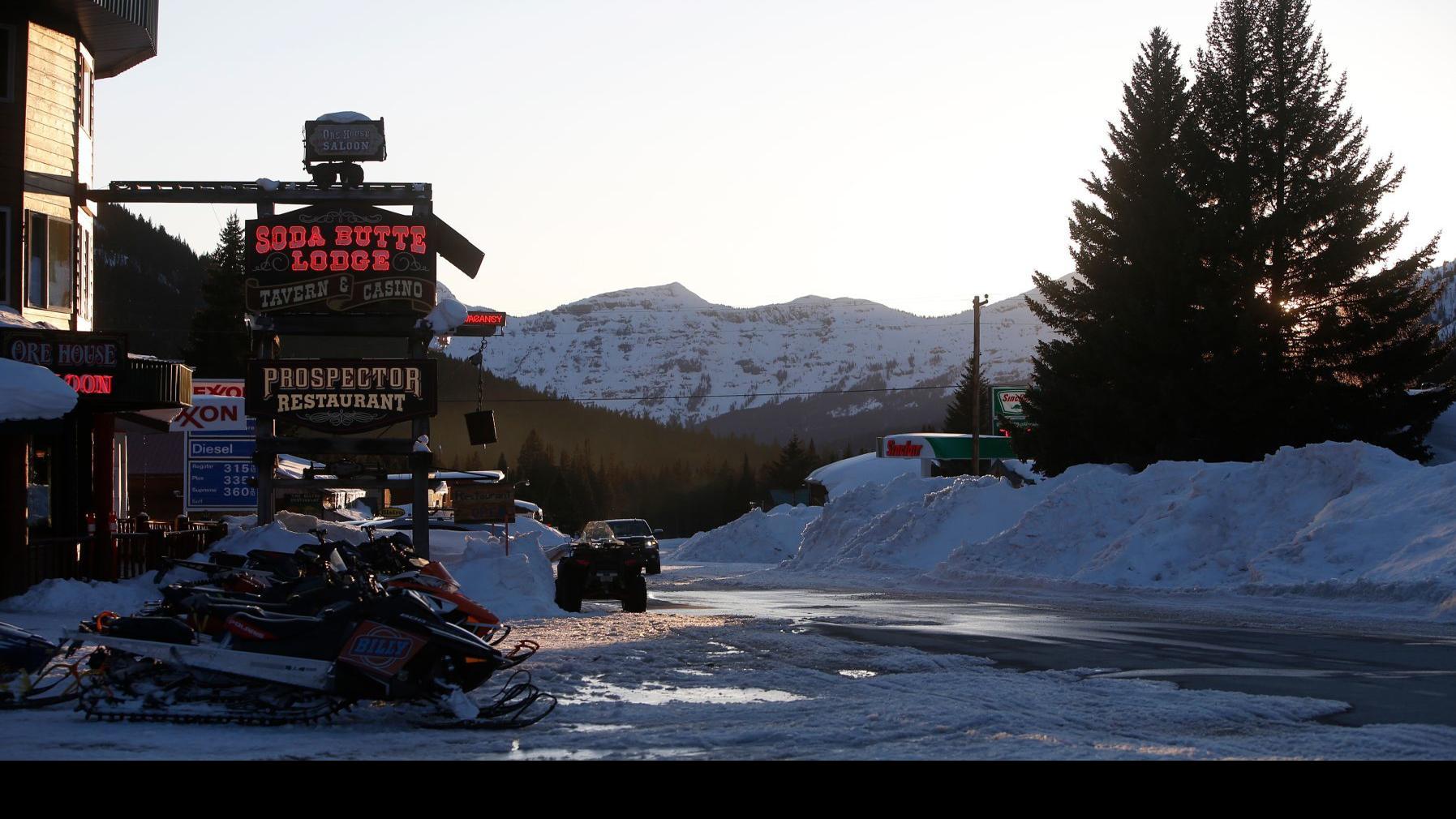 After Beloved Wolf S Shooting Near Cooke City Baiting Rumors Rile Mountain Town Montana Untamed Billingsgazette Com