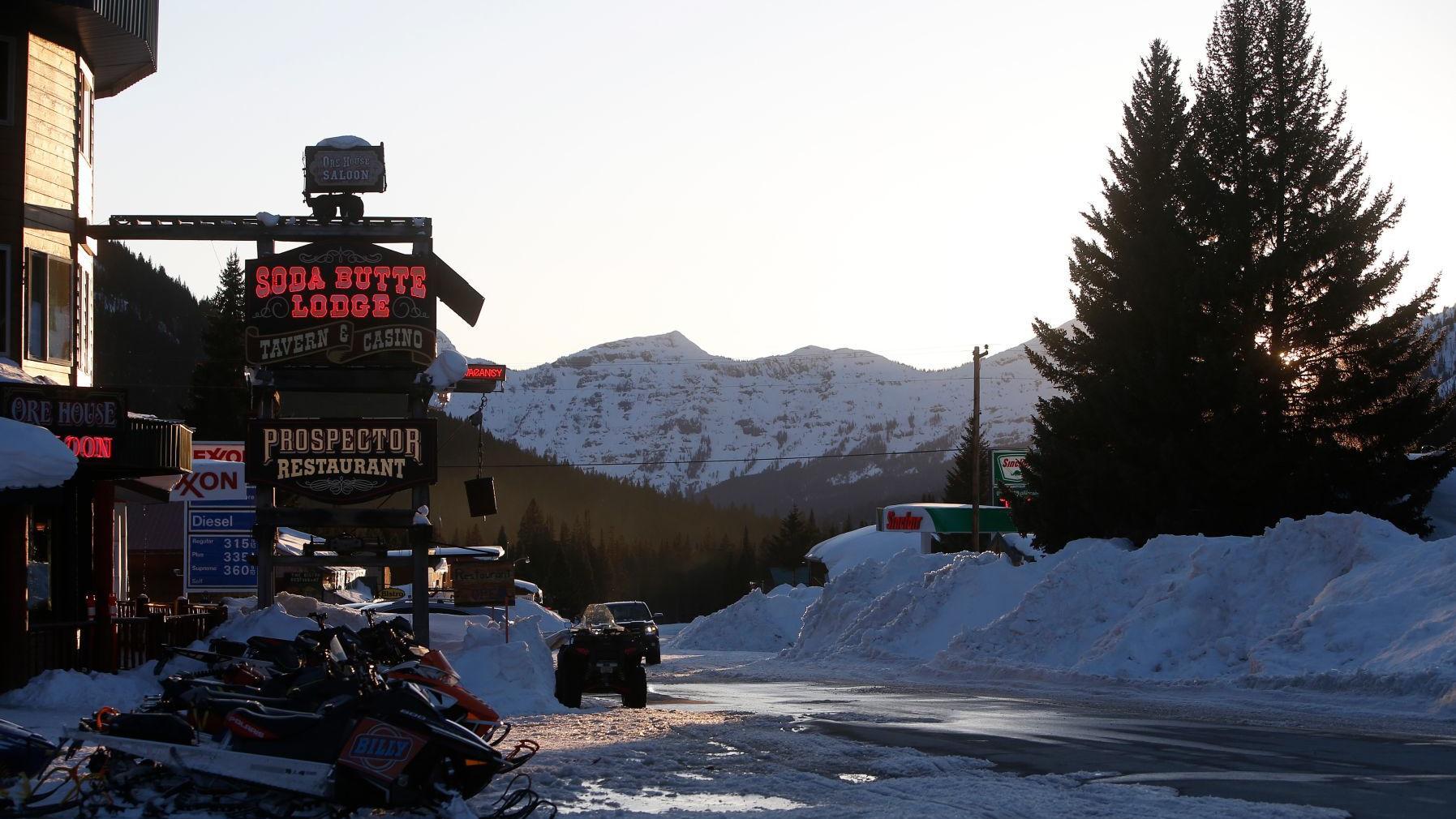 After Beloved Wolf S Shooting Near Cooke City Baiting Rumors Rile Mountain Town Montana Untamed Billingsgazette Com