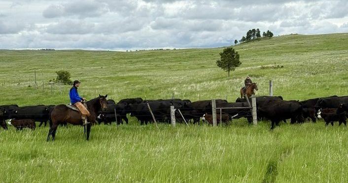 Why some Montana ranchers still want mandatory country-of-origin labels