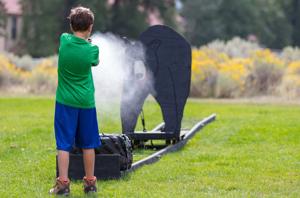 Bear spray