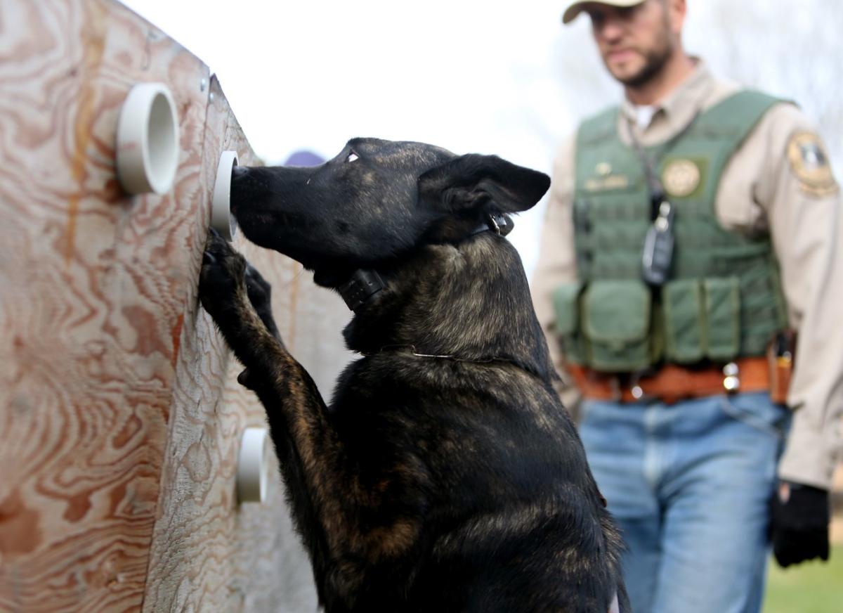 Montana FWP warden trains canine partner Outdoors