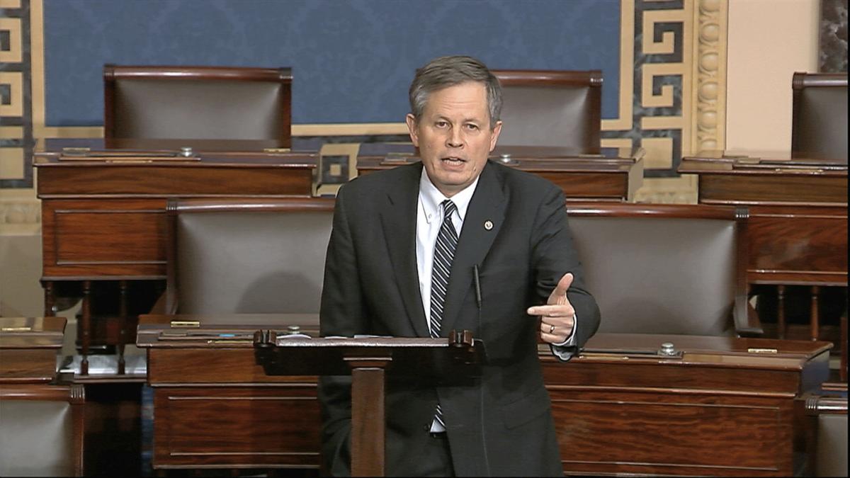 Election 2020-Montana-Senate