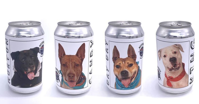 Dogs on beer cans
