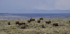 The Rewind: April 24