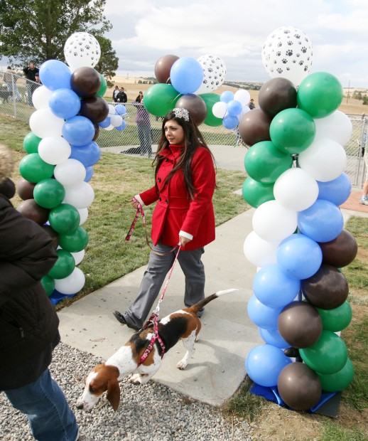 Gallery Billings' first dog park Local News