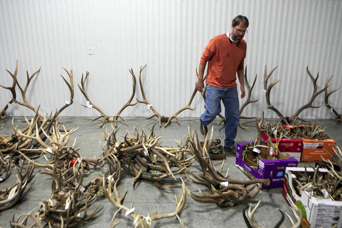 Antler auction grosses more than $311,000