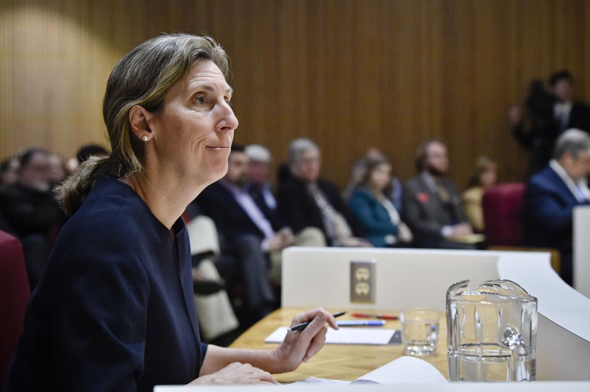 Martha Williams at Montana Supreme Court