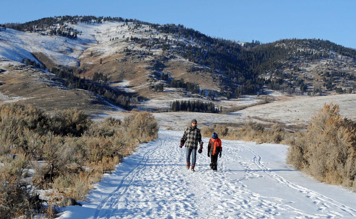 Yellowstone tourists
