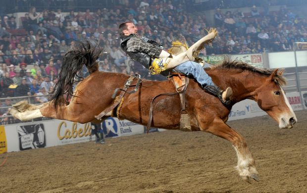 Scheer stays sharp with saddle bronc win | Rodeo | billingsgazette.com