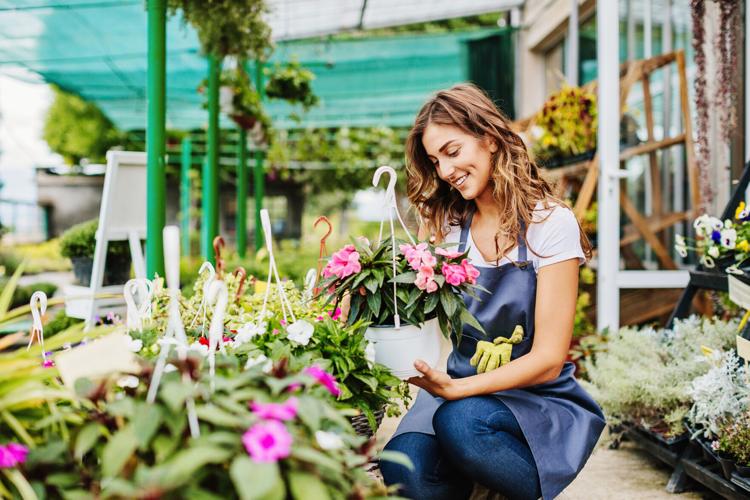 In the garden center