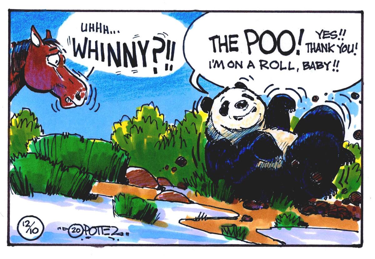 Pandas and poo