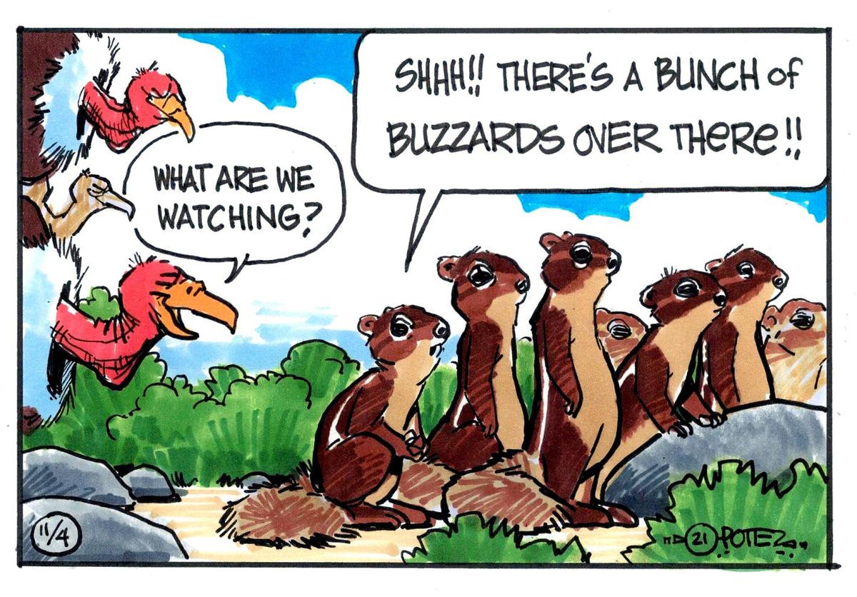 Buzzard's luck