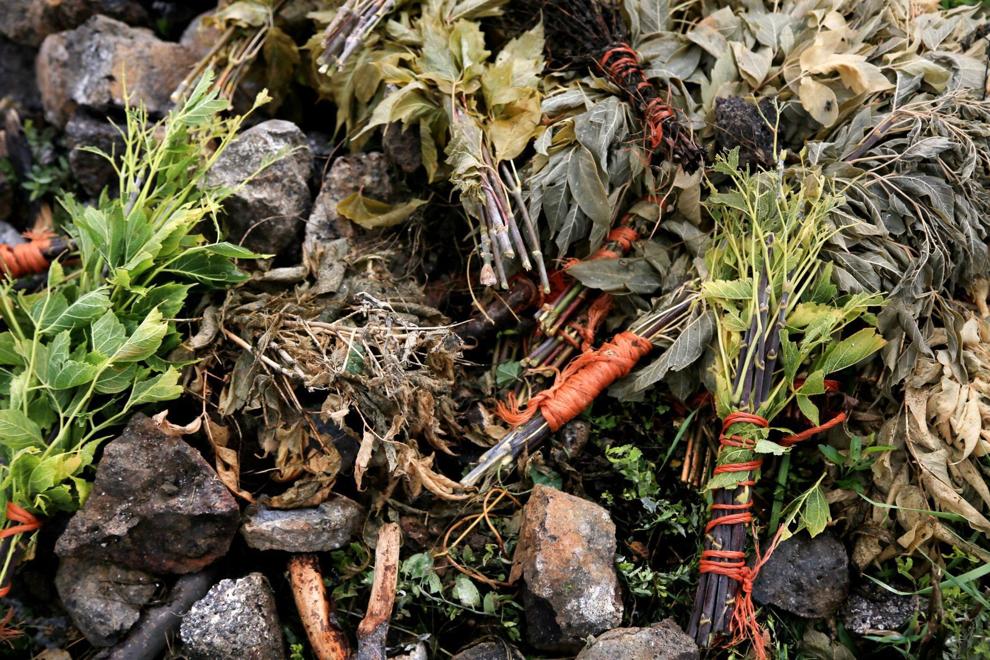 Sweat lodge plants and herbs