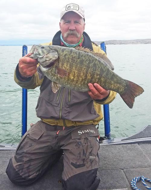 Smallmouth Bass Certified New Montana Record Outdoors Billingsgazette Com Captain hank has been fishing flathead lake for 18 years, the last 8 as a monster charter guide. smallmouth bass certified new montana