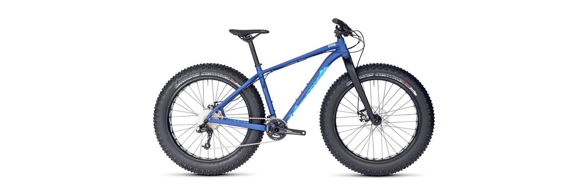 Fat Tire Bikes Fun To Ride In Winter And Summer Months