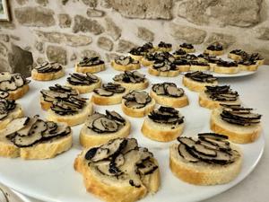 Passengers who took a shore excursion to a truffle farm in Grignan watched dogs hunt for the subterranean treat before sampling the fancy fungus.