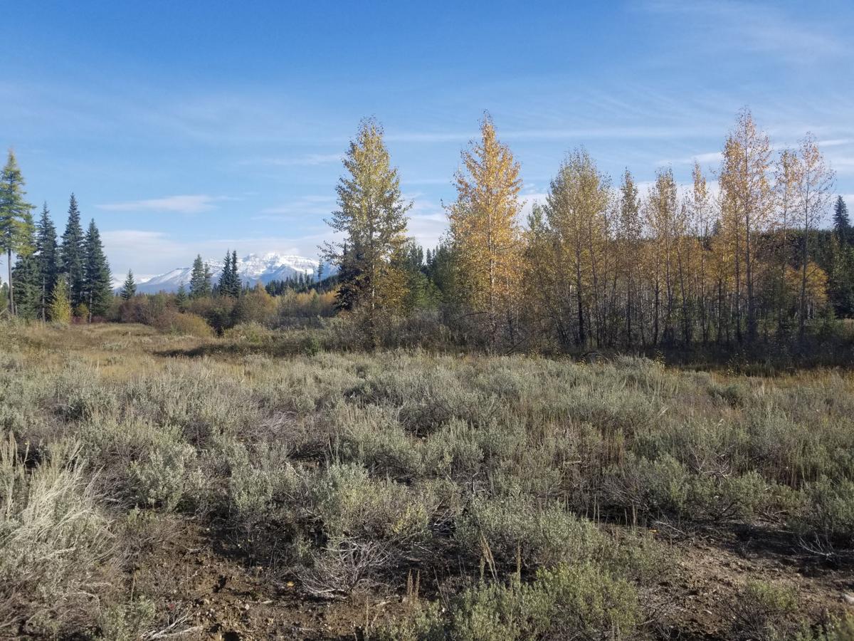 Polebridge wildlife corridor