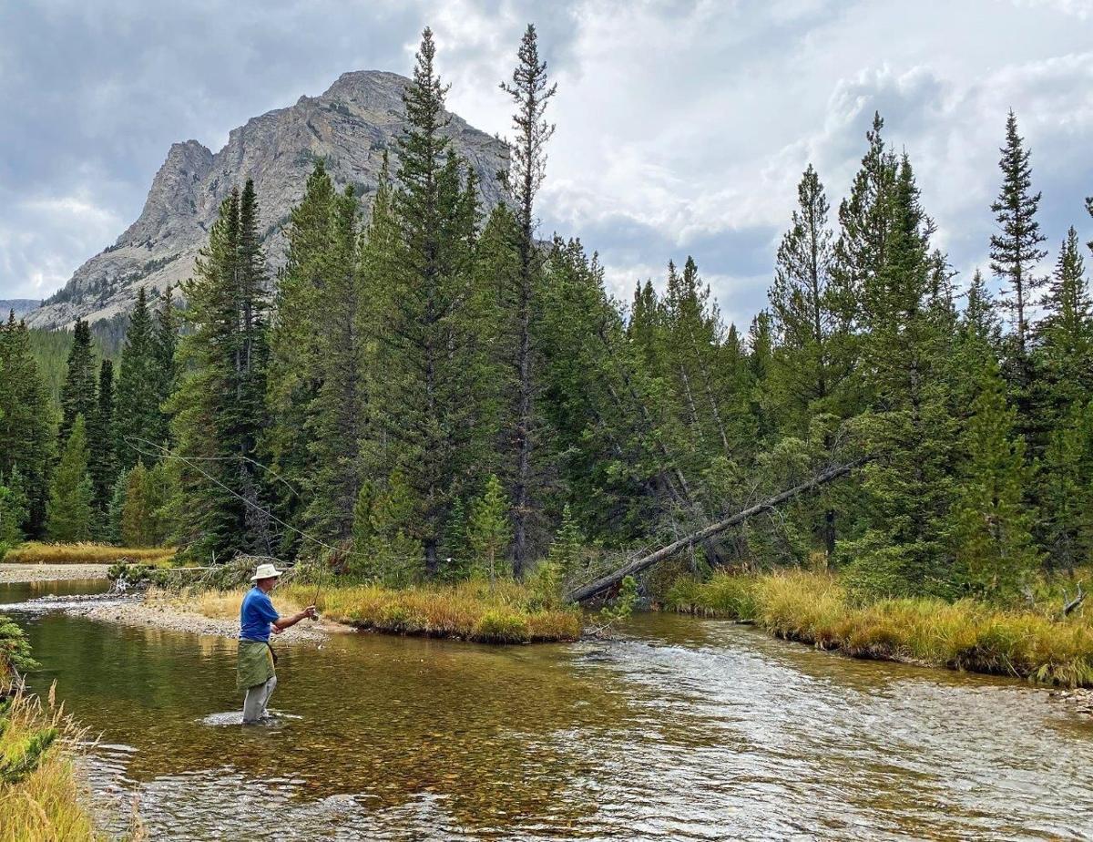 Dry fly fishing