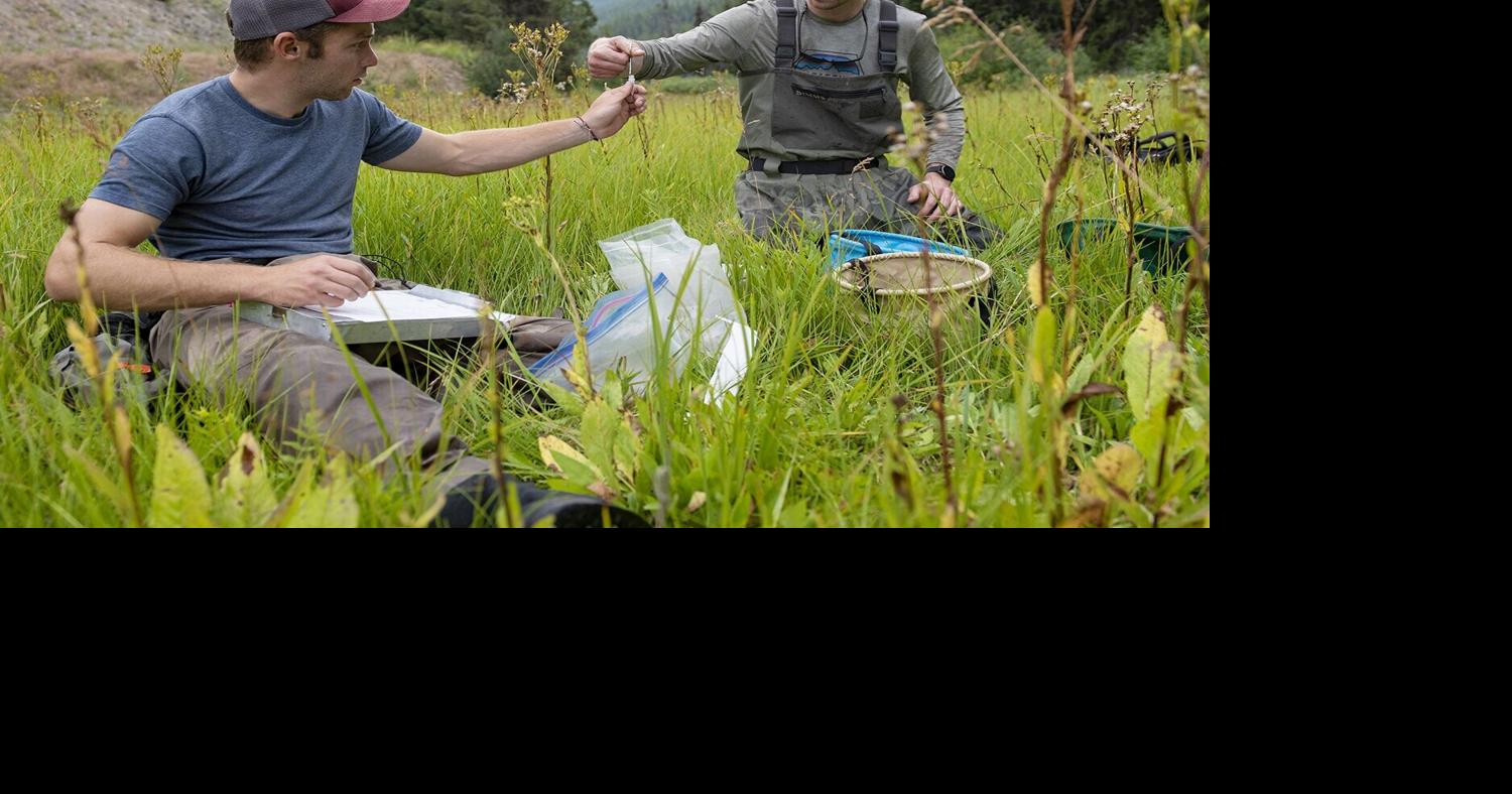 Electro fishing