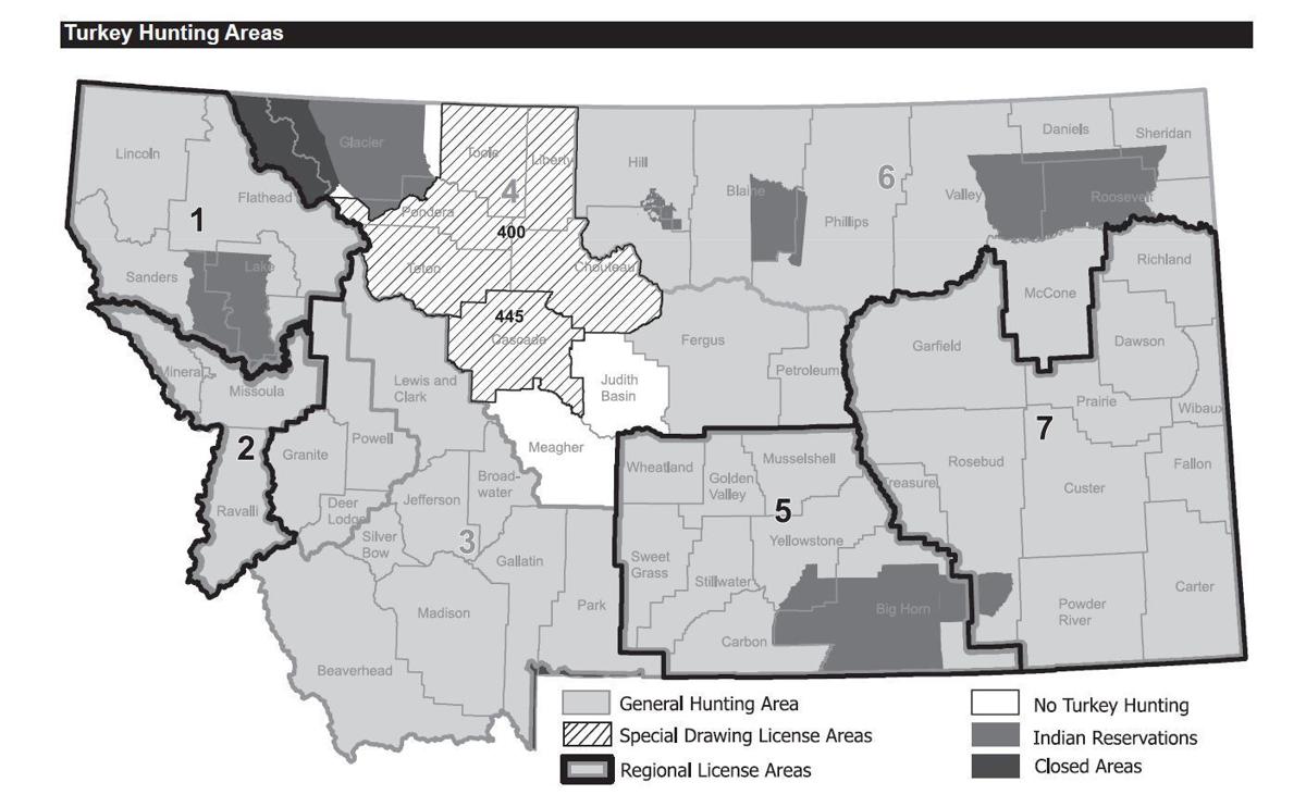 Prolific turkey populations spread hunting opportunities across Montana