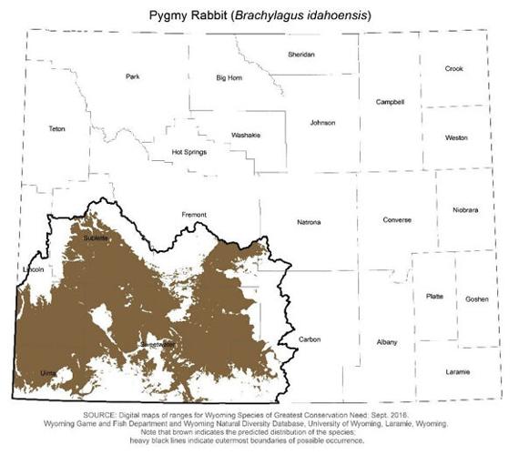 Wild Rabbit Distribution Map Scientists studying pygmy rabbits that rely on sagebrush
