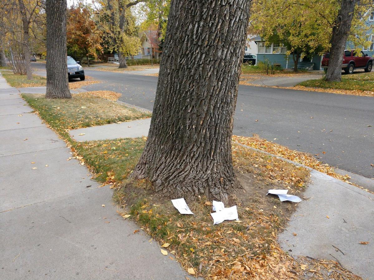 Torn up ballots