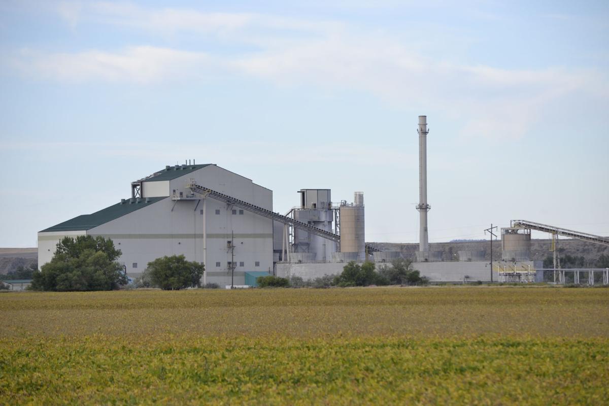 More bonds default in Hardin after power plant stops paying taxes