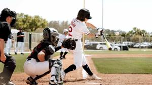Baseball player Brittany Apgar's search for accessibility solution gains online support