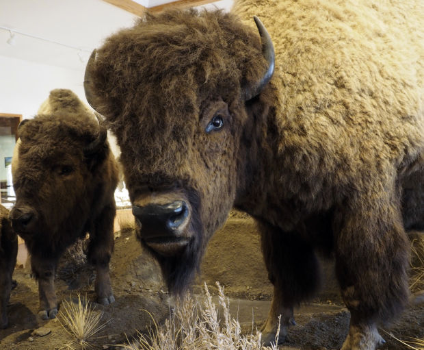 Montana A to Z F is for Fort Benton Montana News