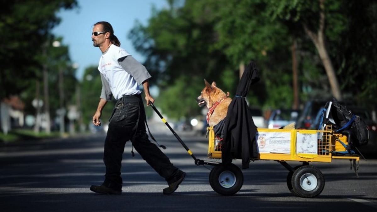 Billings Man Paying It Forward For Dog S Surgery Local News Billingsgazette Com