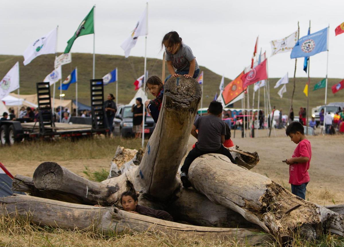 Children play on tree remains