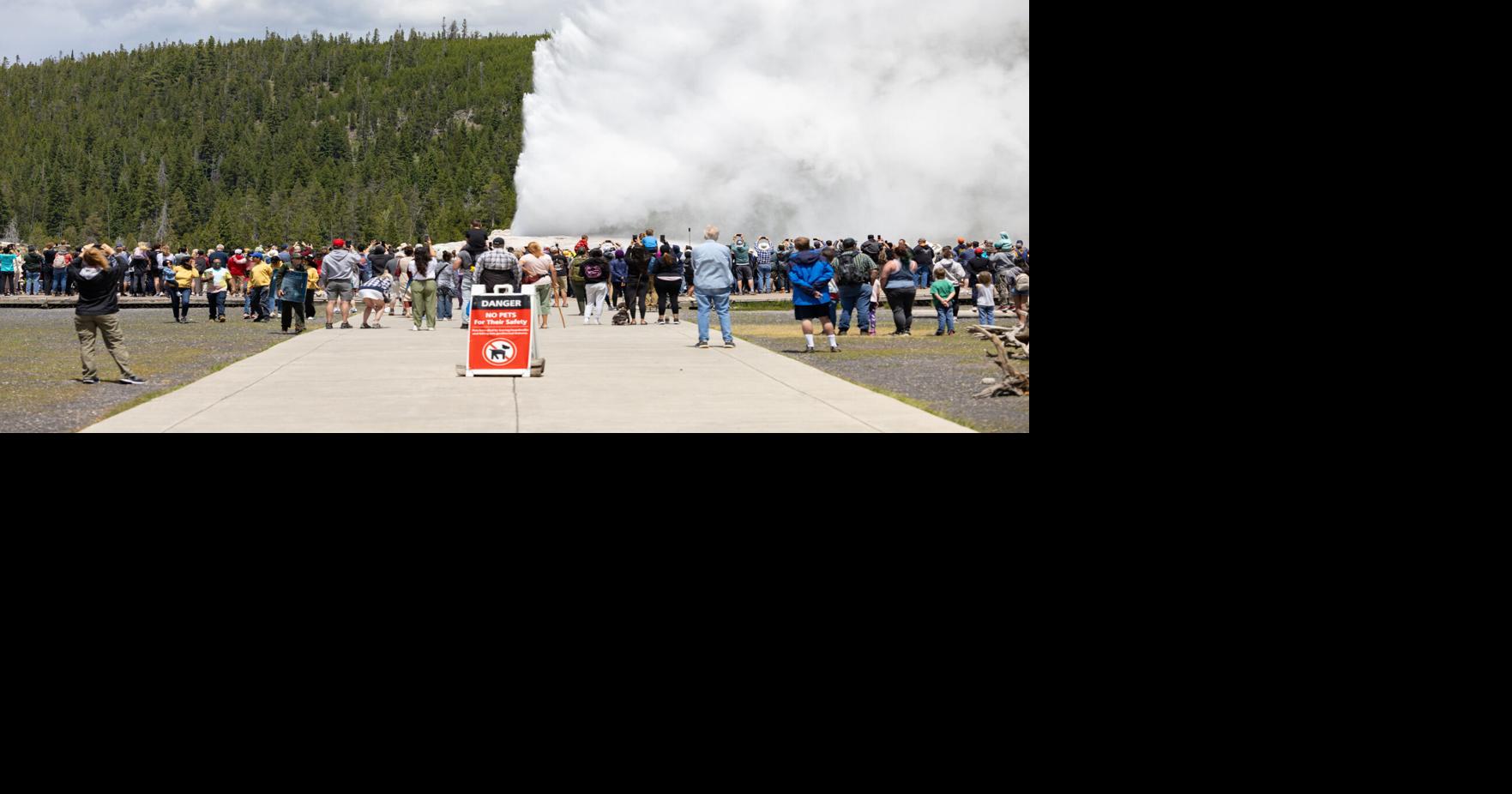 Poop in the Tetons and reluctant guests at Yellowstone is what Gazette readers clicked on in 2025