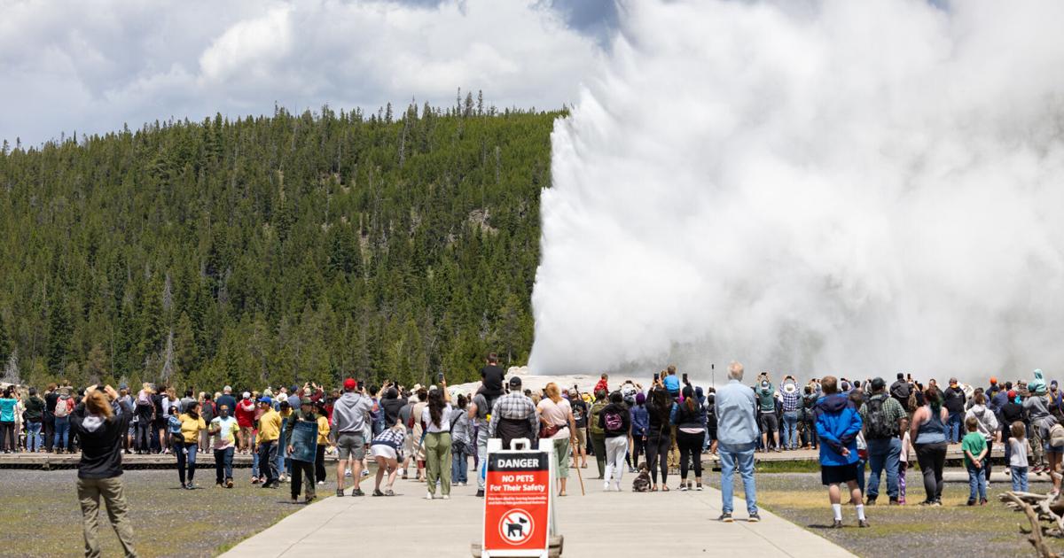 Poop in the Tetons and reluctant guests at Yellowstone is what Gazette readers clicked on in 2025