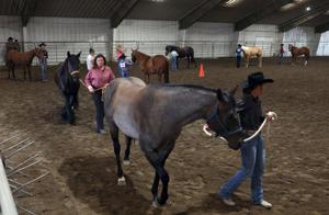 Big Sky State Games Horse Show