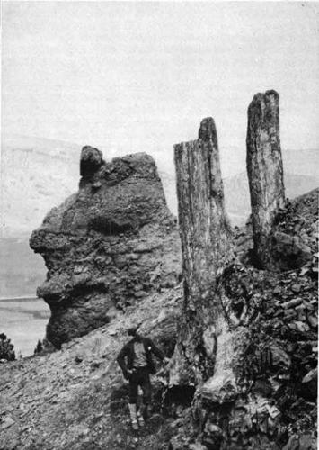 Historic survey
